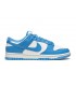 Nike Dunk Low Retro sneakers MAN
